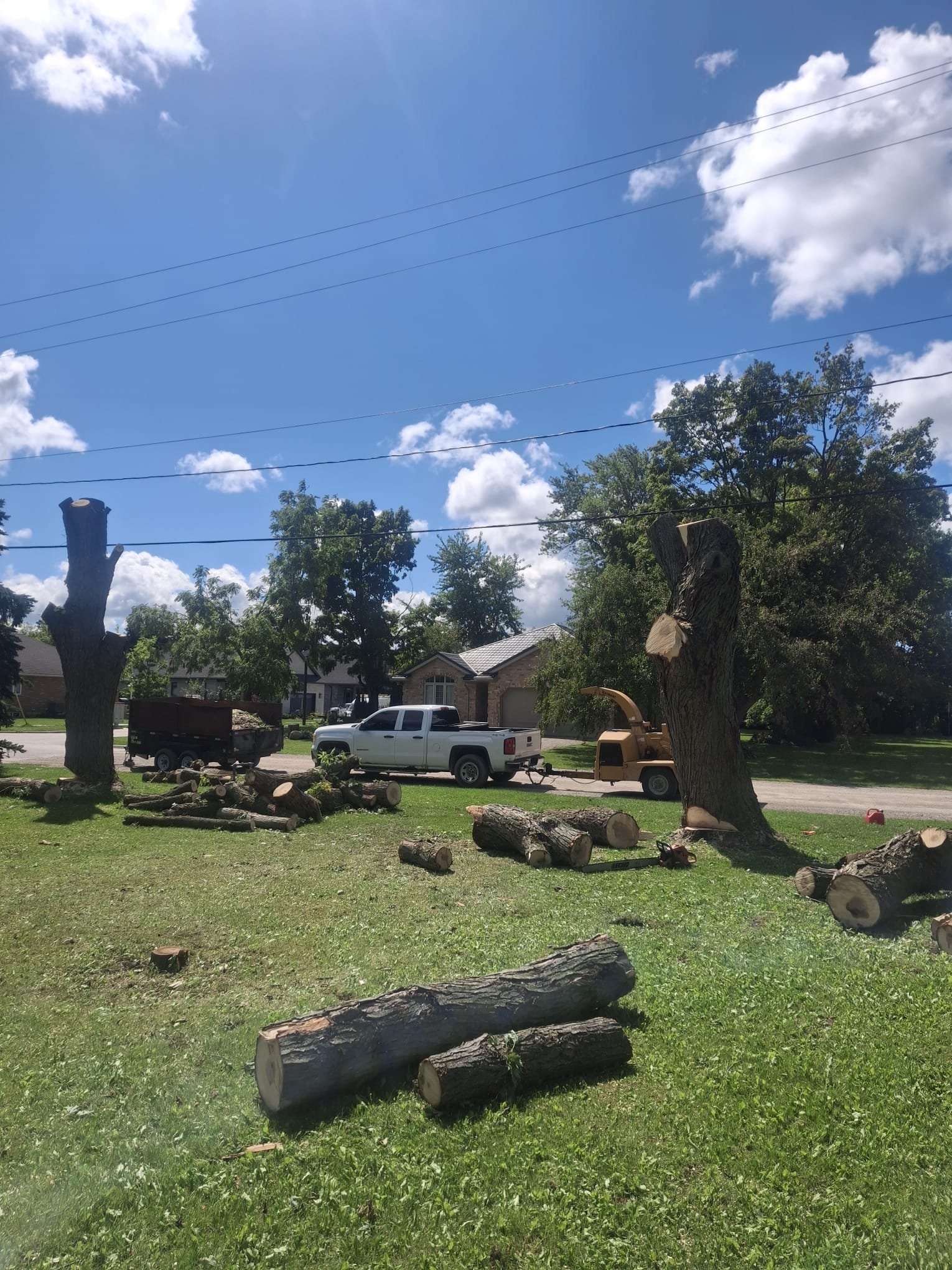 Kipfer Tree Service work
