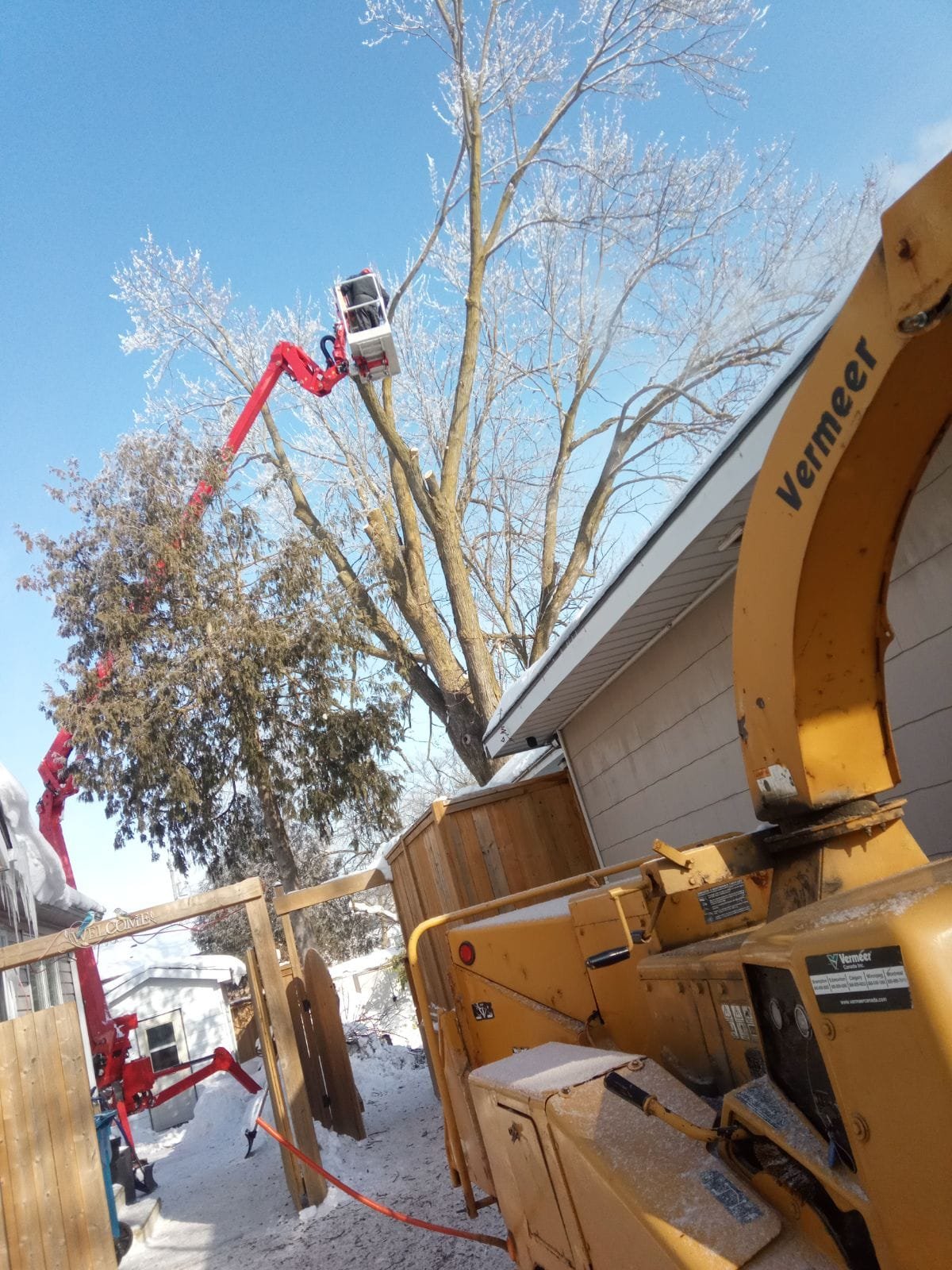 Kipfer Tree Service work