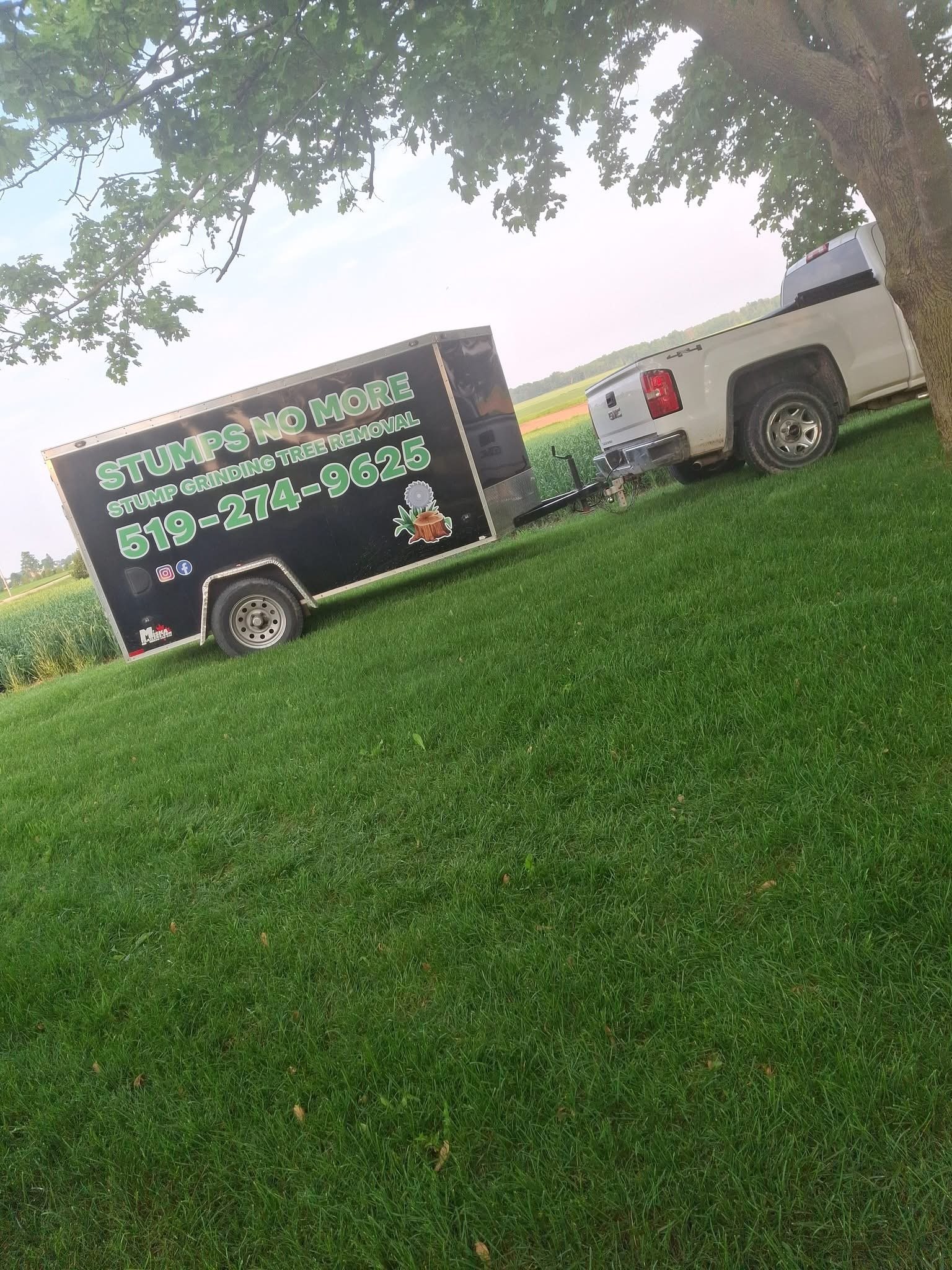 Kipfer Tree Service work